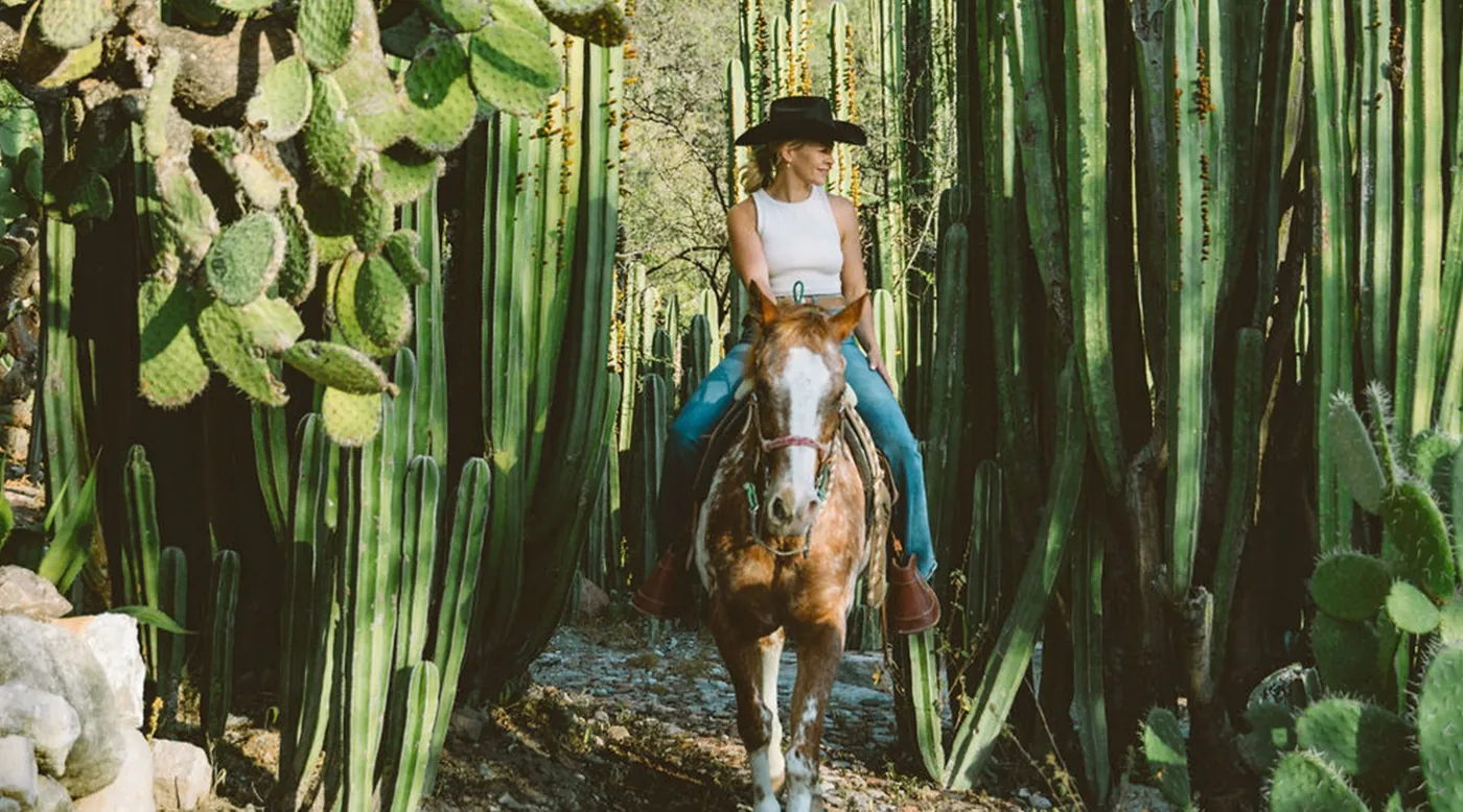 A rider in a straw hat between tall organ cactus in bright afternoon sun.