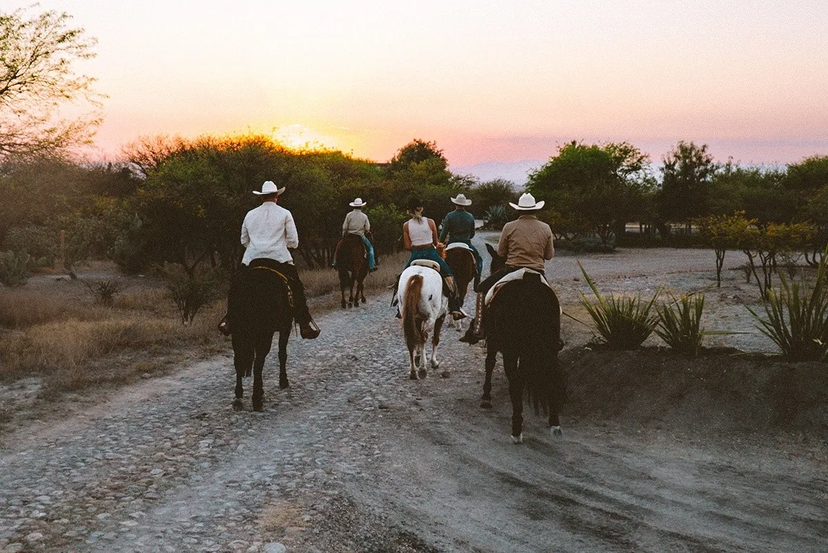 A line of riders heading down a pale trail toward a pink sunset.