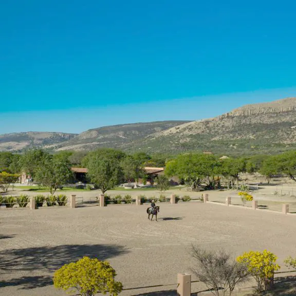 An early photograph of the riding arena with hills behind.