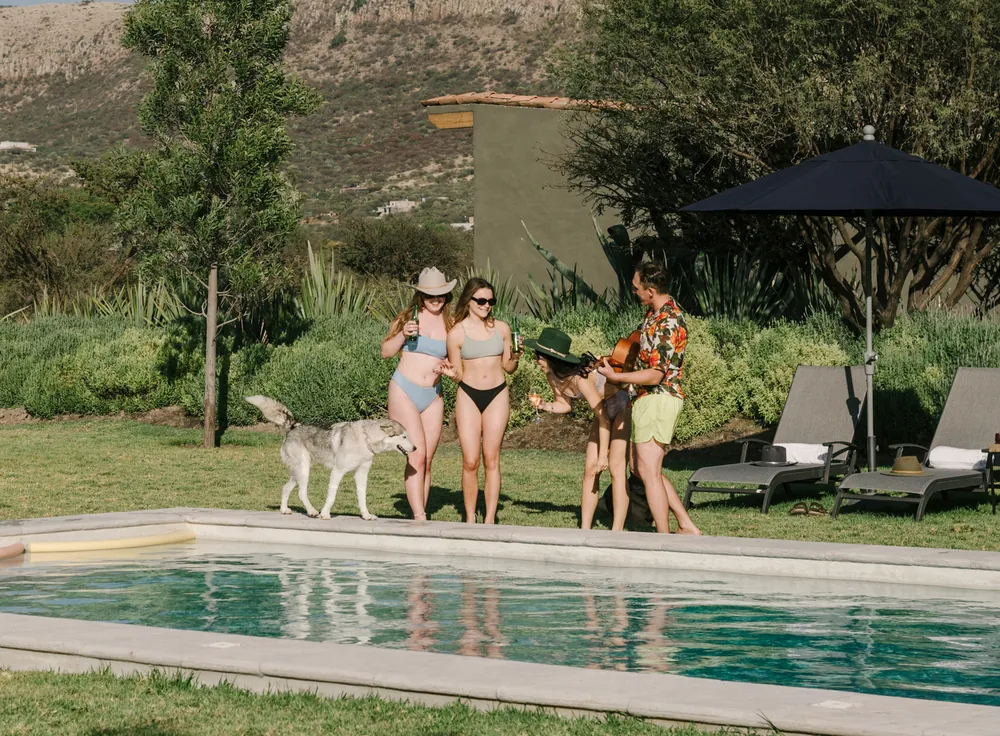 Friends and a dog walking beside the pool on the lawn.